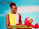 Oh, Look At That!Elmo'S Skin Is A Beautiful Rod..Gif GIF - Oh Look At That!Elmo'S Skin Is A Beautiful Rod. Jonathan Mcreynolds GIFs