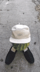 Cool Watermelon In A Cap GIF - Cool Watermelon In A Cap Watermelon Cap GIFs