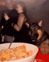 a dog is looking at a bowl of food while a woman drinks wine