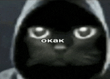a black cat wearing a hooded jacket with the word okak written on its face