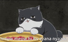 a black and white cat with the words meow meow hi its ayana nyaaaa