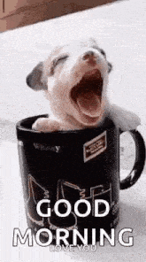 Puppy Cup GIF - Puppy Cup Goodmorning GIFs
