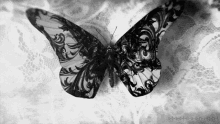 Fantasy Moth GIF