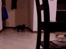 a black cat is walking across a tiled floor next to a chair