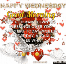 good morning roses hearts happy wednesday sharechat