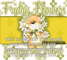 Friday Happy Friday GIF - Friday Happy Friday Bear GIFs