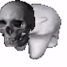 im skull
