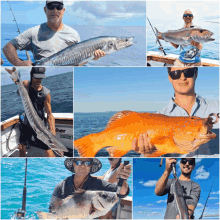 Coral Coast Charters Whitsundays Private Boat Charters GIF