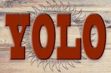 Yolocountry You Only Live Once GIF - Yolocountry You Only Live Once Yolo GIFs