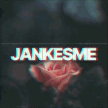 Jankesme Jank1337 GIF