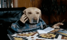 dog cute busy work call