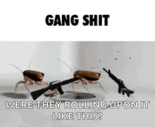 Gang Shit Roaches GIF - Gang Shit Roaches Roaches Shooting Ak47 GIFs