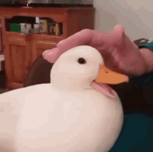 Happy Duck GIF - Happy Duck Pet GIFs