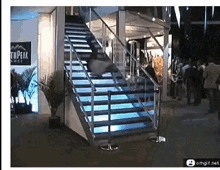 Stairs Fail GIF - Stairs Fail Act Normal GIFs