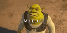 shrek from shrek is standing in the desert and asking um hello ?