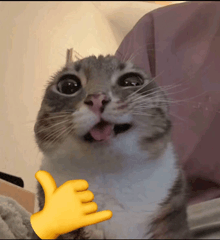 a cat with its tongue hanging out and a hand giving it a thumbs up