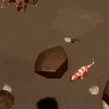 a lizard is crawling on a rocky surface