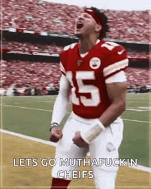 a football player with the number 15 on his jersey celebrates on the field