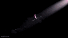 a close up of a pink candle being lit in the dark .