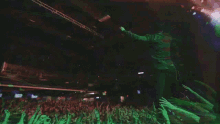 Crowd Audience GIF - Crowd Audience Playing GIFs
