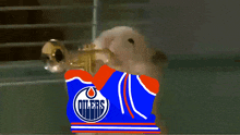Oilers Hamster Edmonton Oilers GIF - Oilers Hamster Edmonton Oilers Hamster GIFs