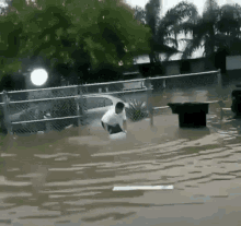 Biar Cepet Kering GIF - Banjir Floods Indonesia GIFs