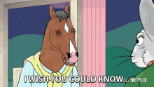 Wish You Could Know How Sorry I Am Bojack GIF - Wish You Could Know How Sorry I Am Bojack Bojack Horseman GIFs