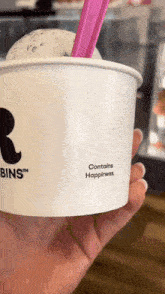 Baskin Robbins Mint Chocolate Chip GIF