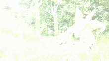 a cartoon character in a purple and yellow outfit is standing in the grass .