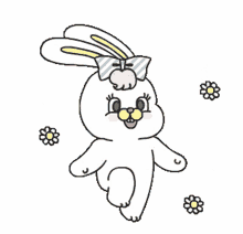 rico rabbit bunny cute animal