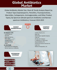 Global Antibiotics Market GIF