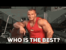 Gym Strong GIF - Gym Strong Work Out GIFs