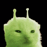 a green cat with antennas on its head looks like shrek
