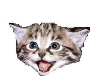 Gato Happy Cat Sticker - Gato Happy Cat Kitty Stickers