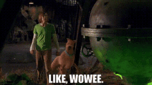 Wow Shaggy GIF - Wow Shaggy Scoobydoo GIFs
