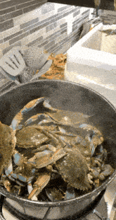 a pot of blue crabs is cooking on a stove