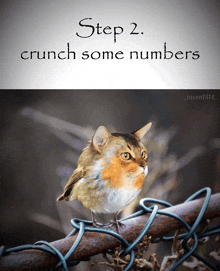 Crunch Some Numbers Step 2 GIF - Crunch Some Numbers Step 2 GIFs