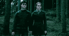 If Only Traveling Was This Easy GIF - Harry Potter Daniel Radcliffe Emma Watson GIFs