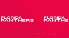 Florida Panthers Goal Time To Hunt GIF - Florida Panthers Goal Panthers Goal Florida Panthers GIFs