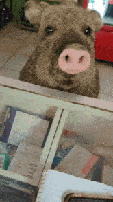 Pig Pig Nose GIF - Pig Pig Nose Moving Nose GIFs