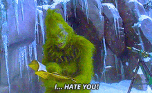 The Grinch I Hate You GIF - The Grinch I Hate You Hate You GIFs