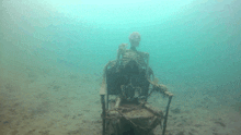 Skeleton Meme Underwater GIF