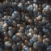 Worms GIF