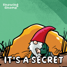 a cartoon of a gnome with the words it 's a secret
