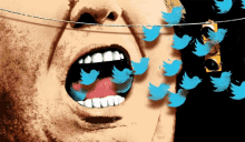 Tweet Trump GIF - Tweet Trump GIFs