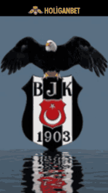 Bjk Beşiktaş GIF - Bjk Beşiktaş Besiktas GIFs