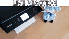Live Reaction Yuyuko GIF - Live Reaction Yuyuko Touhou GIFs