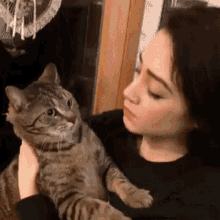 Cat Kiss GIF - Cat Kiss Human Stop GIFs