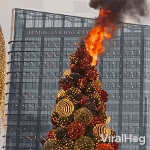 Burning Christmas Tree Viralhog GIF - Burning Christmas Tree Viralhog Christmas Tree On Fire GIFs