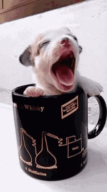 a puppy is yawning in a black mug that says whisky on it